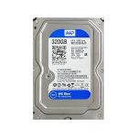 هارد دیسک WESTERN DIGITAL ظرفیت 320 گیگابایت