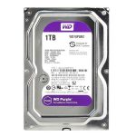 هارد دیسک  WESTERN DIGITAL Purple ظرفیت 1 ترا بایت بنفش